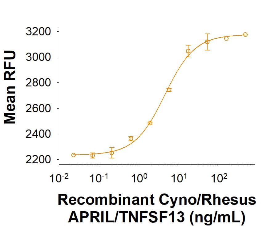 Measured in a cell proliferation assay using anti-IgM stimulated mouse B cells. The ED50 for this effect is 2.50-30.0 ng/mL in the presence of goat anti-mouse IgM.