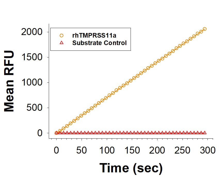 Recombinant Human TMPRSS11a His-tag (Catalog # 11785-TP) is measured by its ability to cleave the fluorogenic peptide substrate Boc-QAR-AMC (ES014).