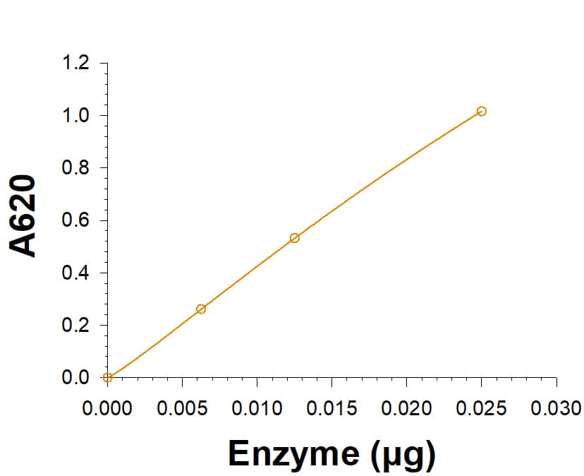 Recombinant Human Muscle Glycogen Phosphorylase His-tag (Catalog # 11786-PM) is measured by its ability to hydrolyze   alpha -D-Glucose 1-phosphate.