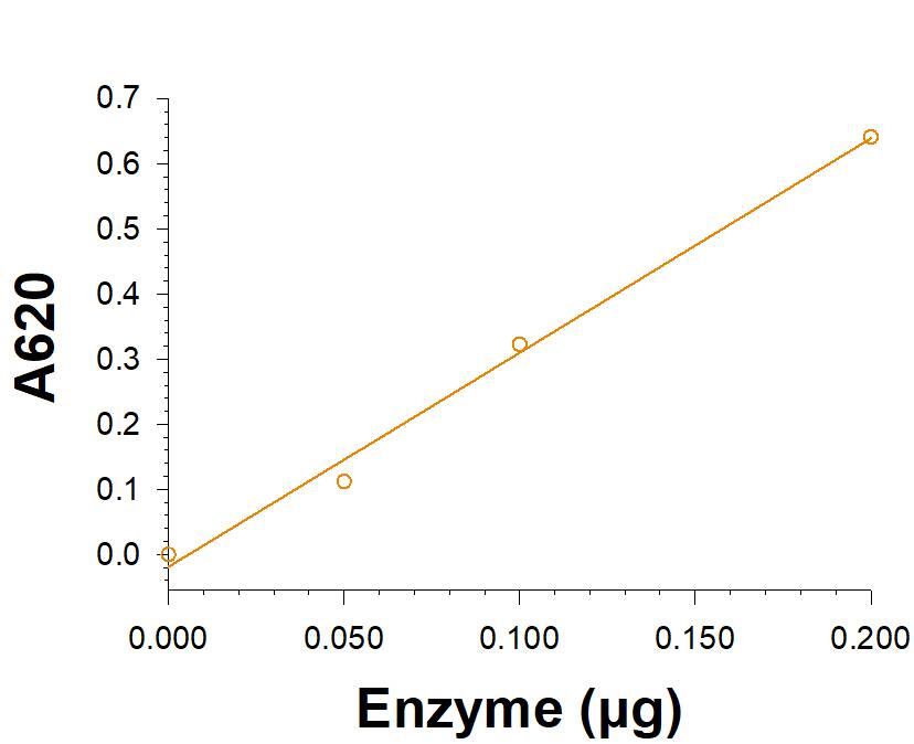 Recombinant Human Liver Glycogen Phosphorylase His-tag (Catalog # 11787-PL) is measured by its ability to hydrolyze   alpha -D-Glucose 1-phosphate.