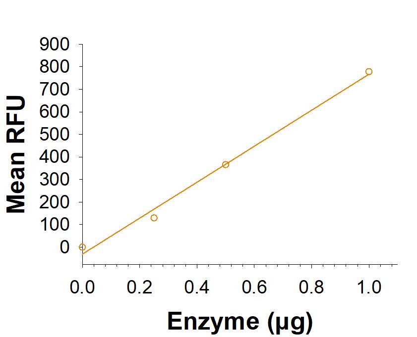 Recombinant Human Fatty Acid Synthase/FASN His-tag (Catalog # 11788-FS) is measured by its ability to hydrolyze 4-methylumbelliferyl heptanoate.