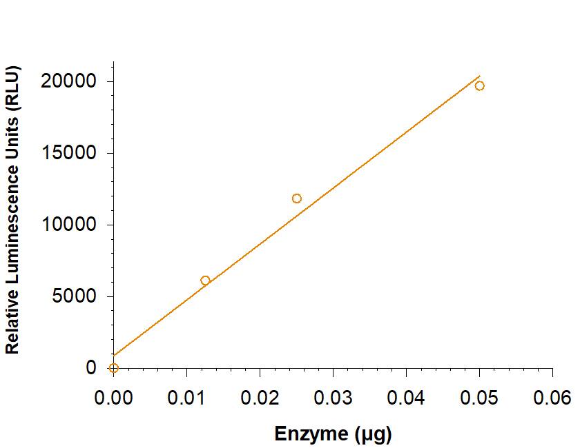 Recombinant Human Recombinant Human Protein kinase SRC His-tag (Catalog # 11800-KS) is measured by its ability to transfer a phosphate from adenosine triphosphate (ATP) to a synthetic peptide substrate.