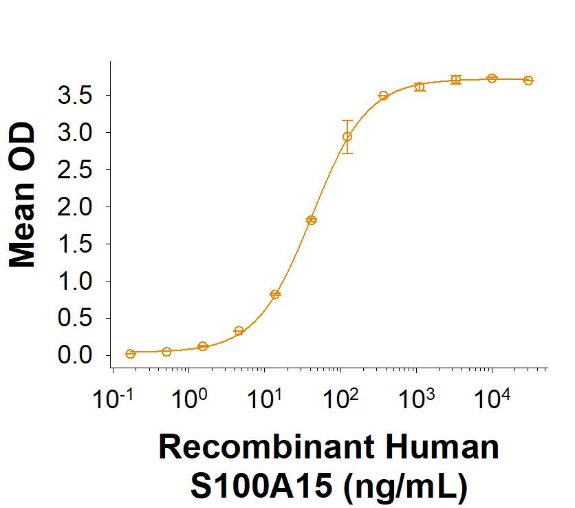 Recombinant Human S100A15 Protein (Catalog # 11804-SA) binds to Human S100A15 Antibody with an ED50 of <500 ng/mL.