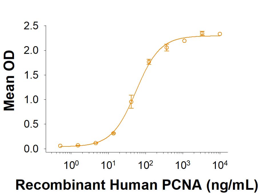 Binding Activity PCNA [Unconjugated]