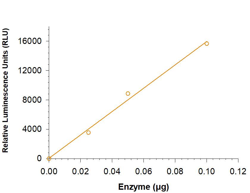 Enzyme Activity FGFR2 [Unconjugated]