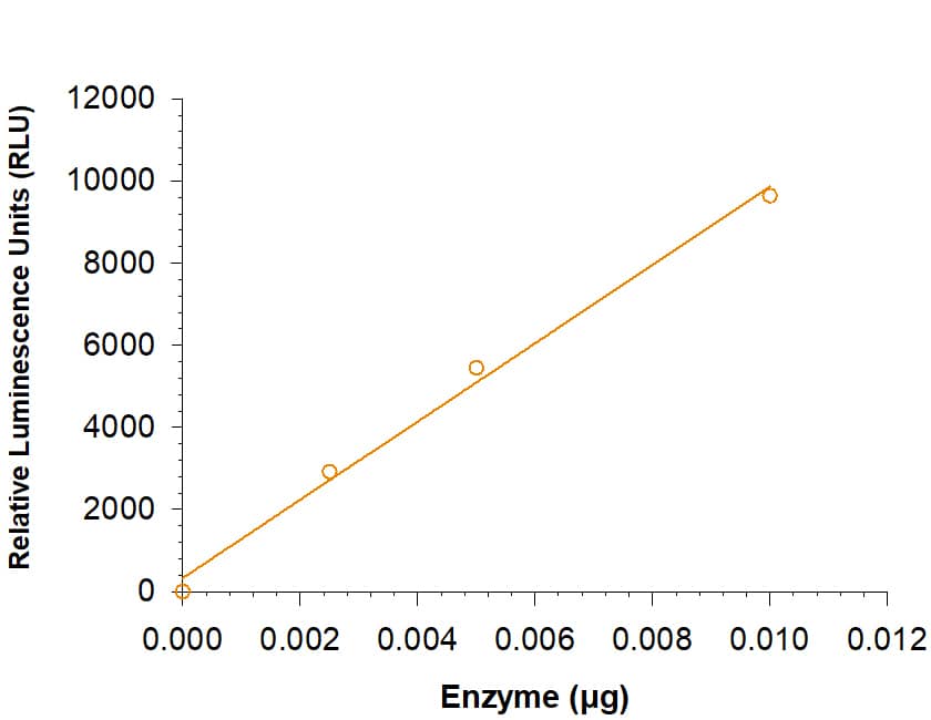 Enzyme Activity PCK1 [Unconjugated]