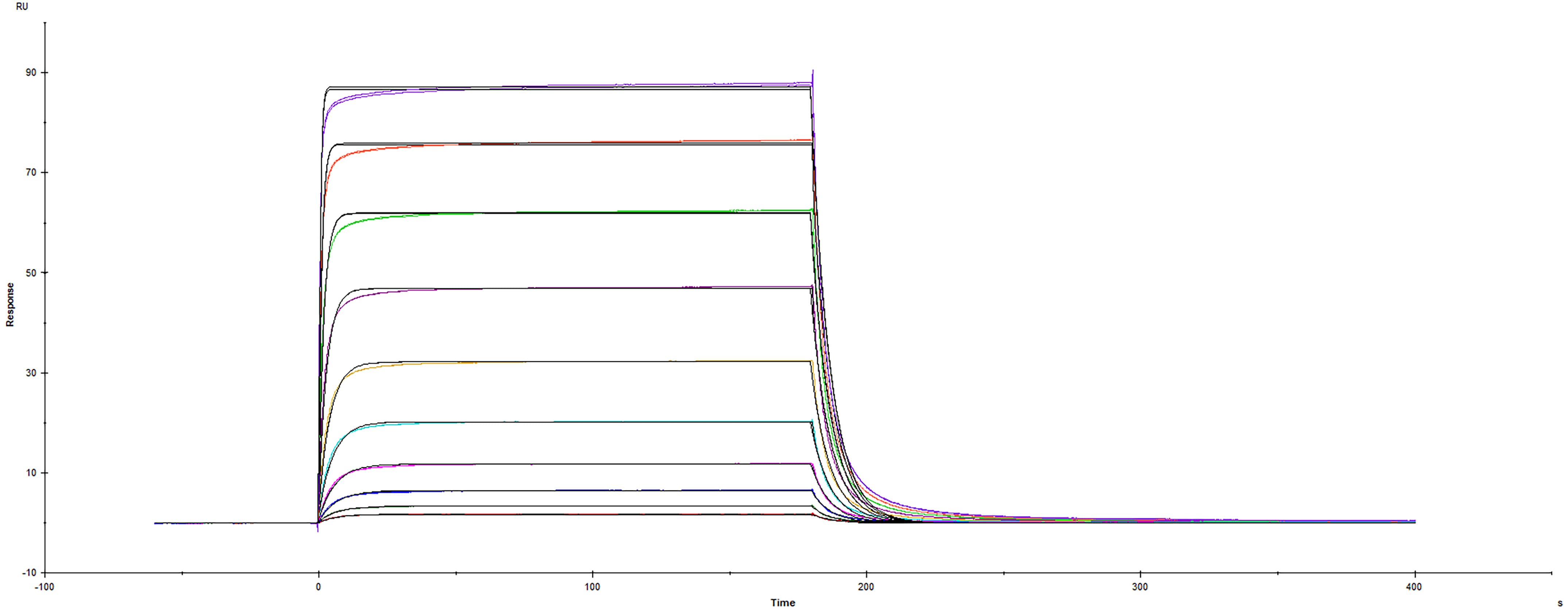 Recombinant Human PD-L2/B7-DC Fc protein (Catalog # 1224-PL) was immobilized on a Biacore Sensor Chip CM5, and binding to Recombinant Human PD-1 His protein (8986-PD) was measured at a concentration range between 6.0 nM and 3.05 uM. The double-referenced sensorgram was fit to a 1:1 binding model to determine the binding kinetics and affinity, with an affinity constant of KD=0.274 uM. 