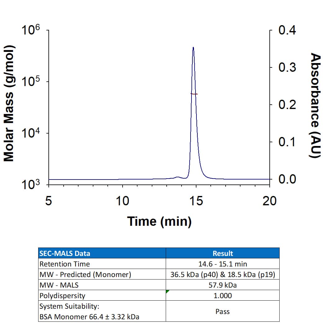SEC-MALS IL-23A/IL-23 P19 [Unconjugated]
