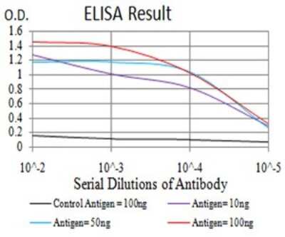 ELISA: 14-3-3 beta/alpha Antibody (5B5G10) [NBP2-61780] - Black line: Control Antigen (100 ng);Purple line: Antigen (10ng); Blue line: Antigen (50 ng); Red line:Antigen (100 ng)