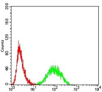 ELISA: 14-3-3 beta/alpha Antibody (5B5G10) [NBP2-61780] - Analysis of Hela cells using YWHAB mouse mAb (green) and negative control (red).