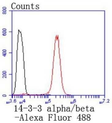 Flow Cytometry: 14-3-3 beta/alpha Antibody (SD0837) [NBP2-67833] - Analysis of Hela cells with 14-3-3 alpha+beta antibody at 1/50 dilution (red) compared with an unlabelled control (cells without incubation with primary antibody; black). Alexa Fluor 488-conjugated goat anti rabbit IgG was used as the secondary antibody.