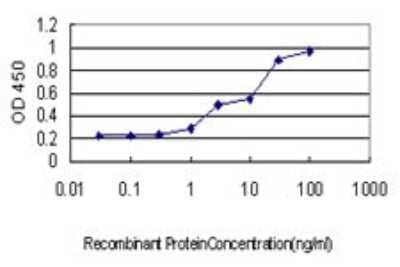 ELISA: 14-3-3 gamma Antibody (6A10) [H00007532-M02] - Detection limit for recombinant GST tagged YWHAG is approximately 0.3ng/ml as a capture antibody.