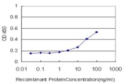 ELISA: 15-Lipoxygenase 1 Antibody (3D8) [H00000246-M04] - Detection limit for recombinant GST tagged ALOX15 is approximately 3ng/ml as a capture antibody.