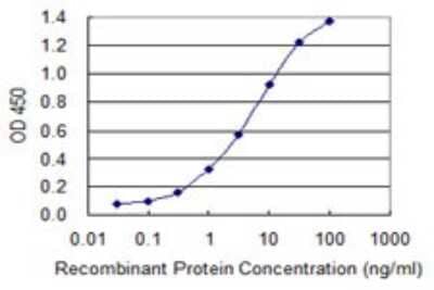 Sandwich ELISA: 17 beta-HSD1/HSD17B1 Antibody (2E5) [H00003292-M03] - Detection limit for recombinant GST tagged HSD17B1 is 0.03 ng/ml as a capture antibody.