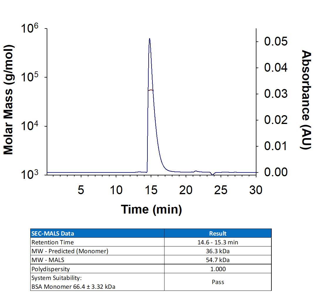 Recombinant Human Nectin-2/CD112 Protein (Catalog # 2229-N2/CF) has a molecular weight (MW) of 52-57 kDa as analyzed by SEC-MALS, suggesting that this protein is a monomer. MW may differ from predicted MW due to post-translational modifications (PTMs) present (i.e. Glycosylation).