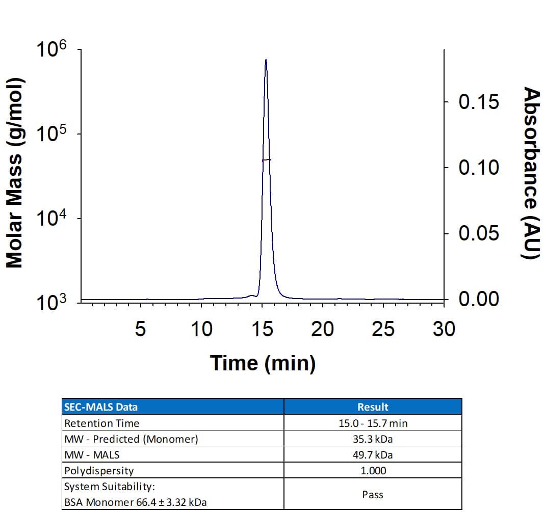 Recombinant Human CD155/PVR His-tag Protein (Catalog # 2530-CD) has a molecular weight (MW) of 47-52 kDa as analyzed by SEC-MALS, suggesting that this protein is a monomer. MW may differ from predicted MW due to post-translational modifications (PTMs) present (i.e. Glycosylation).