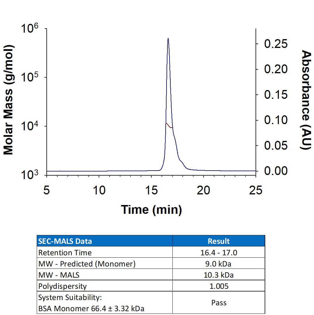 Recombinant Human Betacellulin (Catalog # 261-CE) has a molecular weight (MW) of 10.3 kDa as analyzed by SEC-MALS, suggesting that this protein is a monomer.