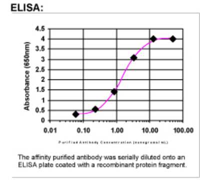 ELISA: TIP30 Antibody [28250002] - Affinity Purified