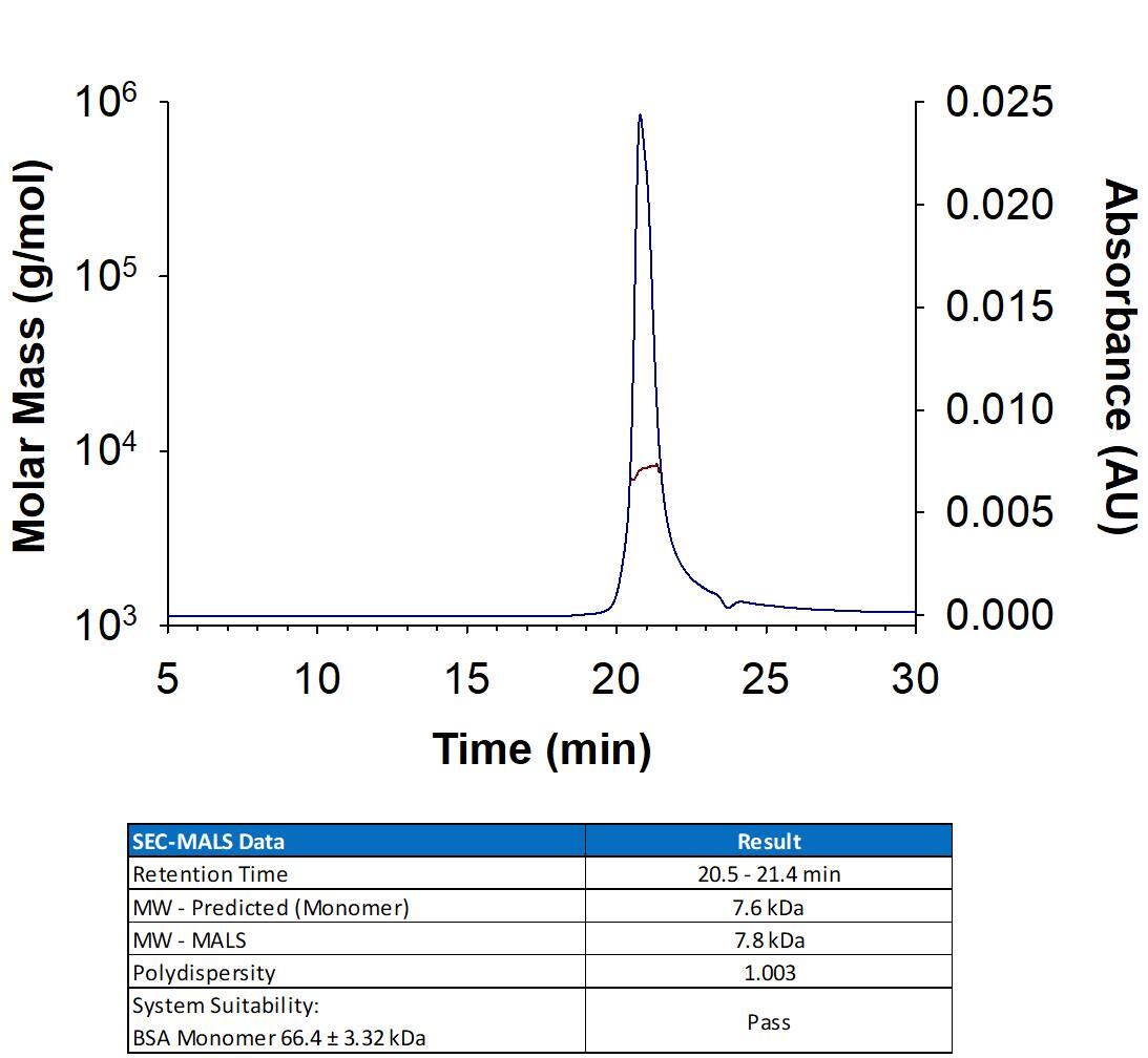 Recombinant Human IGF-I/IGF-1 Protein (Catalog # 291-G1) has a molecular weight (MW) of 7-8 kDa as analyzed by SEC-MALS, suggesting that this protein is a monomer. 