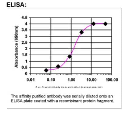 ELISA: HOXA3 Antibody [29360002]