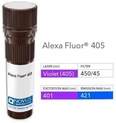 Product Image: 2B4/CD244/SLAMF4 Antibody (025) [Alexa Fluor® 405] [NBP2-89232AF405] - Vial of Alexa Fluor 405 conjugated antibody. Alexa Fluor 405 is optimally excited at 400 nm by the Violet laser (405 nm) and has an emission maximum of 420 nm.