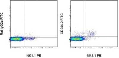 Flow Cytometry: 2B4/CD244/SLAMF4 Antibody (244F4) [FITC] [NBP2-00221] - Staining of C57Bl/6 splenocytes with Anti-Mouse NK1.1 PE and 0.125 ug of Rat IgG2a K Isotype Control FITC (left) or 0.125 ug of Anti-Mouse CD244.2 (2B4) FITC (right). Cells in the lymphocyte gate were used for analysis.