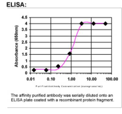 ELISA: ARMCX1 Antibody [31180002]