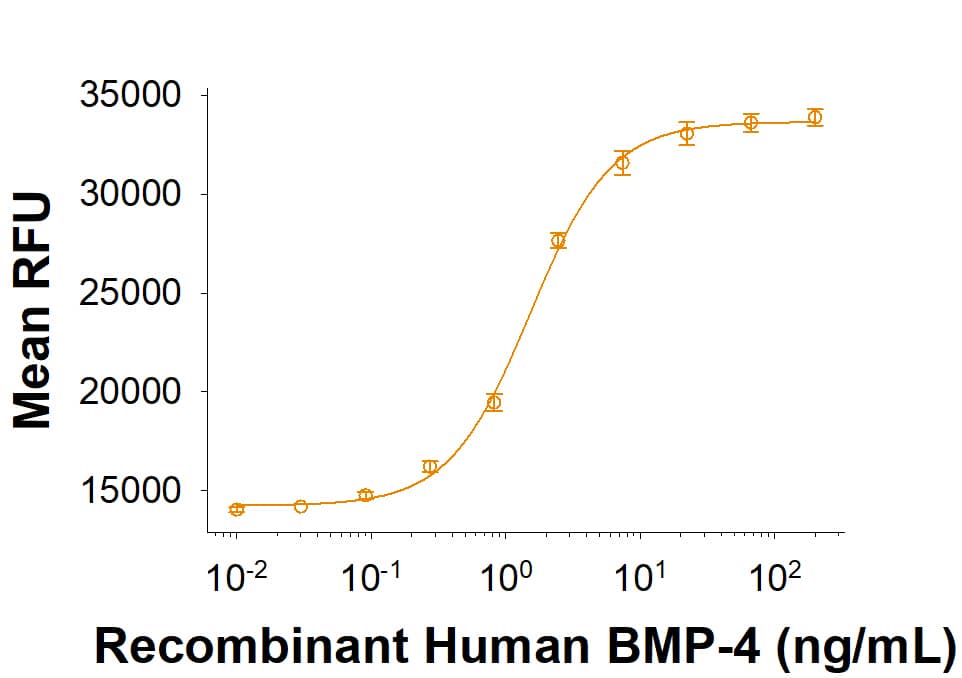 Recombinant Human BMP‑4 (Catalog # 314-BP/CF) induces BMP responsive SEAP reporter activity in HEK293 human embryonic kidney cells. The ED50 for this effect is 0.70-7.00 ng/mL.