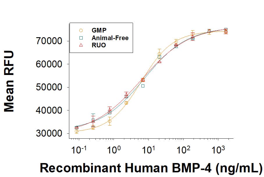 Bioactivity BMP-4 [Unconjugated]