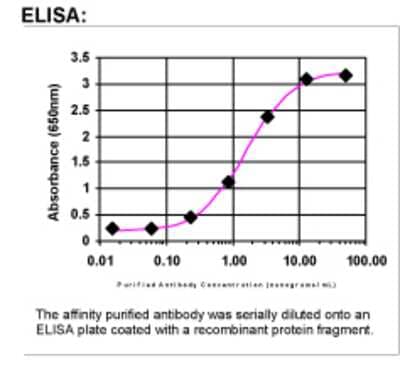 ELISA: HLF Antibody [31490002]