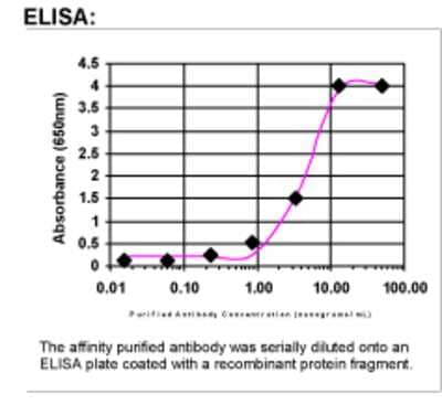ELISA: RP9 Antibody [37430002]