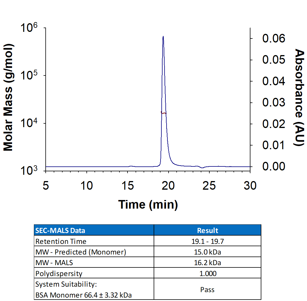 Recombinant Mouse IL-7 Protein (Catalog # 407-ML) has a molecular weight (MW) of 15-17 kDa as analyzed by SEC-MALS, suggesting that this protein is a monomer. 