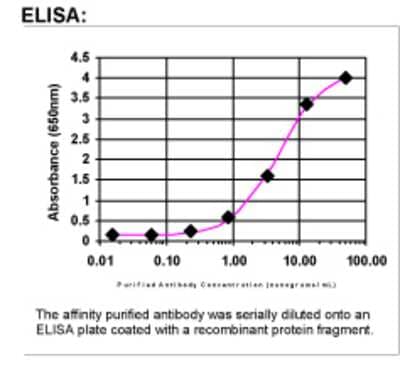 ELISA: MARVELD2 Antibody [43640002]