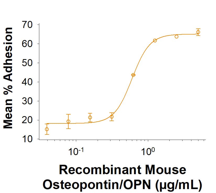 Recombinant Mouse Osteopontin/OPN Protein (Catalog # 441-OP) supports the adhesion of HEK293 human embryonic kidney cells. The ED50 for this effect is 0.100-1.20 µg/mL.