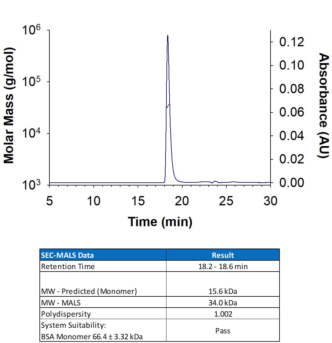 SEC-MALS IFN-gamma [Unconjugated]