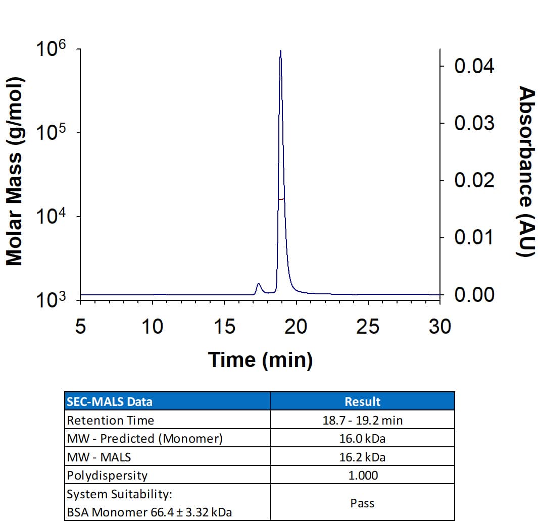 Recombinant Mouse Leptin/OB Protein (Catalog # 498-OB) has a molecular weight (MW) of 15-17 kDa as analyzed by SEC-MALS, suggesting that this protein is a monomer. 
