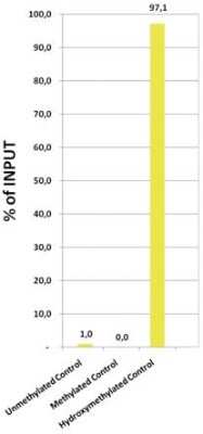 Methylated DNA Immunoprecipitation: 5-hmC Antibody [NBP2-59182] - An hydroxymethylated DNA IP (hMeDIP) was performed using the rabbit polyclonal antibody directed against 5-hydroxymethylcytosine. The IgG isotype antibodies from rabbit were used as negative control. The DNA was prepared with the GenDNA module of the hMeDIP kit and sonicated to have DNA fragments of 300-500 bp. 1 ug of human HeLa cell DNA was spiked with non-methylated, methylated, and hydroxymethylated fragments. The IP'd material was analysed by qPCR using the primer pair specific for the 3 different control sequences. The obtained results show that the rabbit polyclonal for 5-hmC is highly specific for this base modification (no IP with non-methylated or methylated C bases containing fragments).