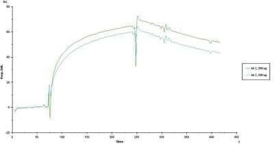 Surface Plasmon Resonance: 5-MethylCytosine Antibody (33D3) [NBP2-54609] - A synthesized biotin-labeled 5-mC conjugate was immobilized on a sensorchip. Briefly, two flowcells were prepared by sequential injections of EDC/NHS, streptavidin, and ethanolamine. One of these flowcells served as negative control, while biotinylated 5-mC conjugate was injected in the other one, to get an immobilization level of 55 response units (RU). All SPR experiments were performed, using HBS-N buffer (10 mM HEPES,150 mM NaCl, pH 7.4), at a flow rate of 5 uL/min. Interaction assays involved injections of 2 different dilutions of the 5-mC monoclonal antibody over the biotinylated 5-mC conjugate and negative control surfaces, followed by a 3 minute washing step with HBS-N buffer. At the end of each cycle, the streptavidin surface was regenerated by injection of 0.1M citric acid (pH 3).  The value of the dissociation constant (kd) obtained by global fitting and 1:1 Langmuir model is 65 nM.