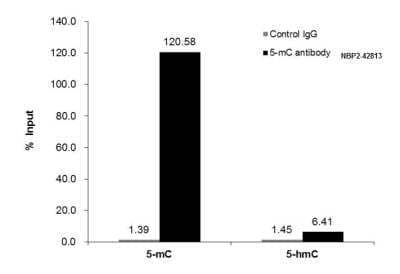 Immunoprecipitation: 5-MethylCytosine Antibody [NBP2-42813] - Human genomic DNA (150 ng) mixed with methylated cytosine standard kit were subjected to MeDIP with 5-Methylcytosine/ 5-mC antibody (NBP2-42813) at dilution of 1:2000 and analyzed with semi-quantitative PCR. The immunoprecipitated DNA was plotted as % of input DNA.