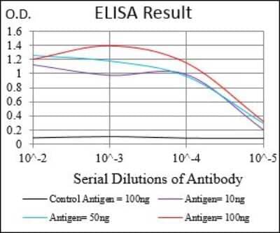 ELISA: 5'-Nucleotidase/CD73 Antibody (4G6B10) [NBP2-37274] - Red: Control Antigen (100ng); Purple: Antigen (10ng); Green: Antigen (50ng); Blue: Antigen (100ng);