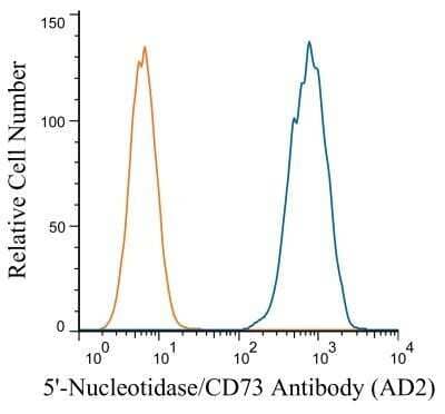 Flow (Cell Surface): 5'-Nucleotidase/CD73 Antibody (AD2) - Azide and BSA Free [NBP2-80552] - A surface stain was performed on U87 MG cells with 5'-Nucleotidase/CD73 Antibody (AD2) antibody NBP2-48480 (blue) and a matched isotype control (orange). Cells were incubated in an antibody dilution of 1 ug/mL for 20 minutes at room temperature, followed by Dylight488-conjugated anti-mouse secondary antibody. Image from the standard format of this antibody.