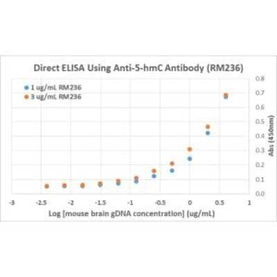 ELISA: 5-hmC Antibody (RM236) [NBP2-61469] - Direct ELISA of Mouse brain genomic DNA using Anti-5-hmC antibody (NBP2-61469). The plate was directly coated with different concentrations of genomic DNA isolated from Mouse brain tissue. NBP2-61469 was used as the primary antibody, and a HRP conjugated Anti-Rabbit IgG as the secondary antibody.