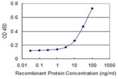 Sandwich ELISA: 53BP2 Antibody (1A10) [H00007159-M02] - Detection limit for recombinant GST tagged TP53BP2 is 1 ng/ml as a capture antibody.