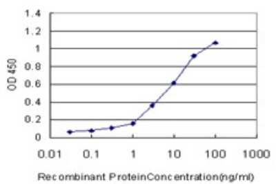 Sandwich ELISA: 53BP2 Antibody (3F8) [H00007159-M01] - Detection limit for recombinant GST tagged TP53BP2 is approximately 0.3ng/ml as a capture antibody.