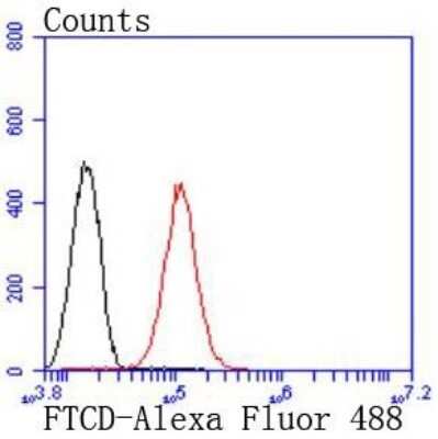 Flow Cytometry: 58K Golgi Protein Antibody (JF099-5) [NBP2-67099] - Analysis of HepG2 cells with 58K Golgi protein antibody at 1/50 dilution (red) compared with an unlabelled control (cells without incubation with primary antibody; black). Alexa Fluor 488-conjugated goat anti rabbit IgG was used as the secondary antibody