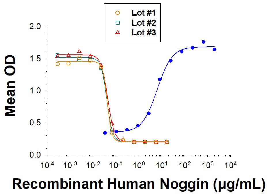 The lot-to-lot consistency of Recombinant Human Noggin (Catalog # 6057-NG/CF) was assessed by testing the ability of three independent lots of the protein to inhibit BMP-4-induced alkaline phosphatase production in the ATDC5 mouse chondrogenic cell line (orange, green, red lines). Each trace on the graph represents data obtained from Recombinant Human Noggin from a different manufacturing run. The ED50 for this effect is 0.020-0.160 ug/mL in the presence of 50 ng/mL Recombinant Human BMP-4 (314-BP/CF). The dark blue line on the graph is showing the ability of Recombinant Human BMP-4 (ng/mL) to induce alkaline phosphatase production in the ATDC5 mouse chondrogenic cell line.