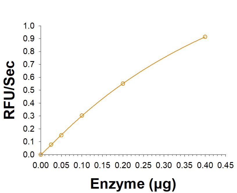 Enzyme Activity alpha-Galactosidase A/GLA [Unconjugated]