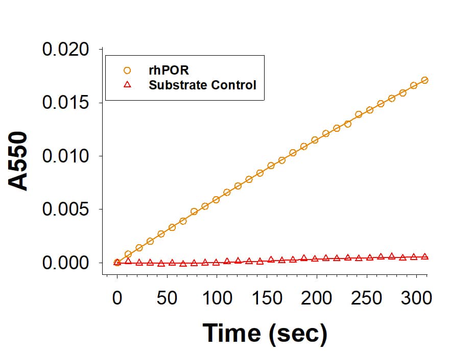 Recombinant Human POR His-tag (Catalog # 6340-PRB) is measured by the reduction of cytochrome c using NADPH as the cofactor. 