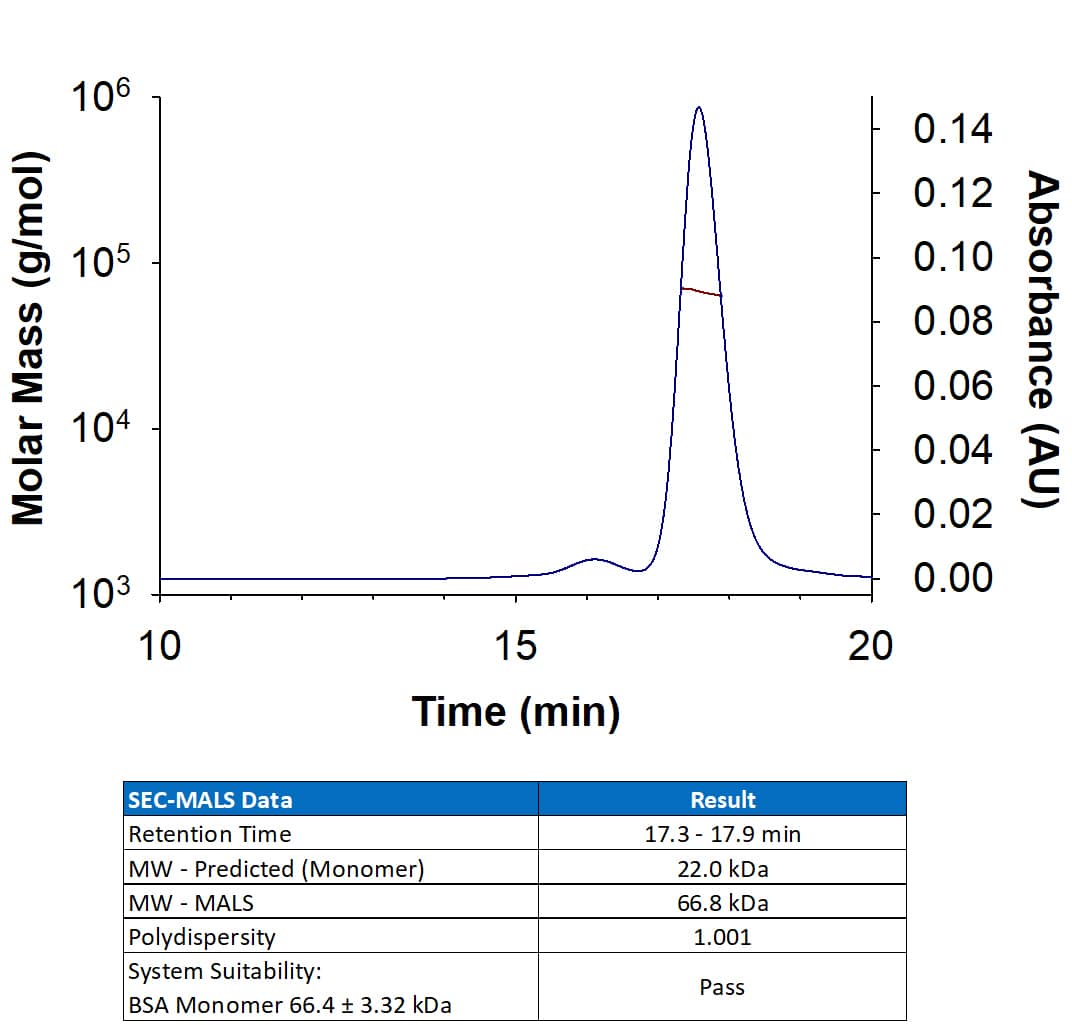 Recombinant Human CD40 Ligand/TNFSF5 (Catalog # 6420-CLB) has a molecular weight (MW) of 66.8 kDa as analyzed by SEC-MALS, suggesting that this protein is a homotrimer.  MW may differ from predicted MW due to post-translational modifications (PTMs) present (i.e. Glycosylation).