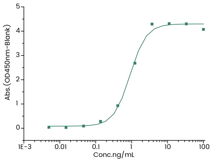 ELISA SN 38 Antibody (7) - Azide and BSA Free